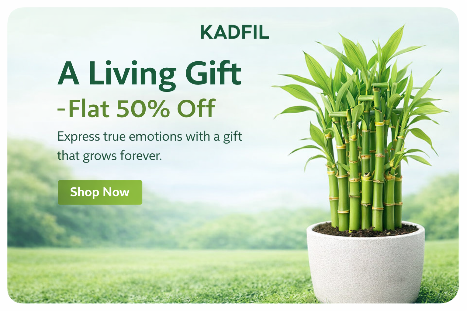 ChatGPT Image Jan 15, 2026, 02_41_31 PM