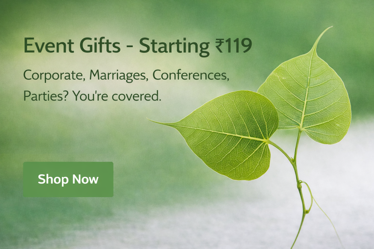 ChatGPT Image Jan 18, 2026, 03_17_31 PM