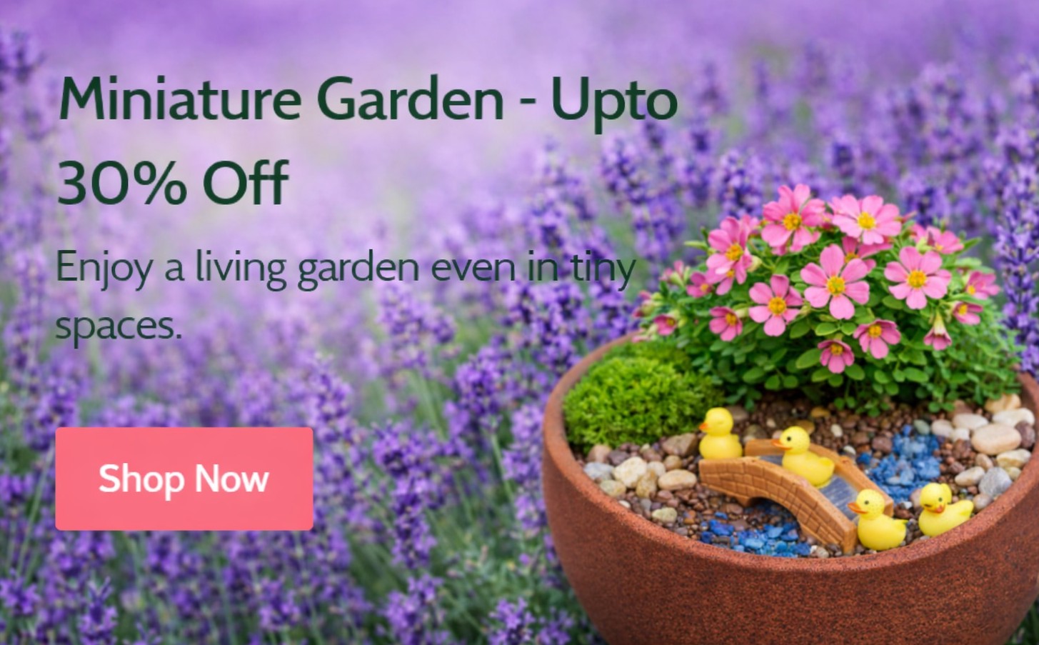 WhatsApp Image 2026-01-16 at 4.16.53 PM